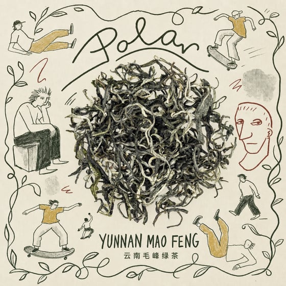 Yunnan Mao Feng Green Tea